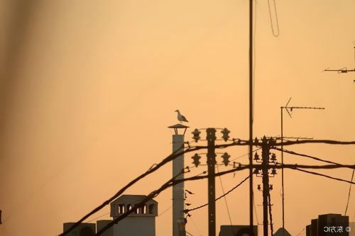 控制二次回路接線應符合哪些要求？